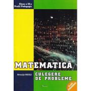 Matematica. Clasa 9, profil pedagogic. Culegere de probleme - Ancuta Heisu