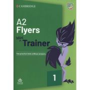 Fun Skills A2 Flyers Mini Trainer with Audio Download - Frances Treloar
