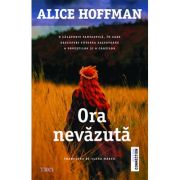 Ora nevazuta - Alice Hoffman