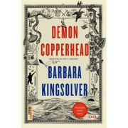 Demon Copperhead - Barbara Kingsolver