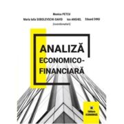 Analiza economico-financiara - Monica Petcu