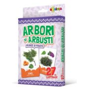 27 de cartonase. Arbori si arbusti, frunze si fructe