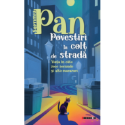 Povestiri la colt de strada - Septimiu Pan