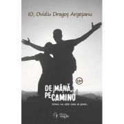 De mana, pe Camino - Ovidiu Dragos Argesanu