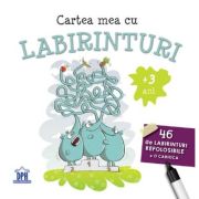 Cartea mea cu labirinturi. 46 de labirinturi refolosibile + o carioca