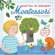 Jocul meu de indemanare Montessori - Céline Santini