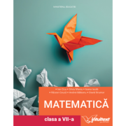 Matematica. Manual pentru clasa a 7-a - Ion Cicu