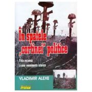 In Spatele Cortinei Politice - Vladimir Alexe