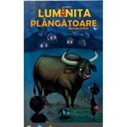 Luminita plangatoare - Gheorghe Virtosu