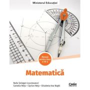 Manual Matematica clasa a 7-a - Radu Gologan (coord.)