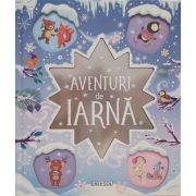 Aventuri de iarna