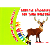 Coloram si invatam! Animale salbatice din tara noastra - Adina Grigore