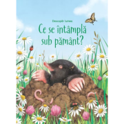 Ce se intampla sub pamant (Usborne) - Emily Bone