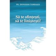 Sa te sfintesti, sa te linistesti! - Pr. Dionisios Tambakis