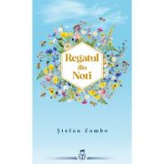 Regatul din Nori - Stefan Zambo