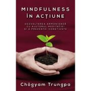 Mindfulness in actiune. Dezvoltarea armonioasa cu ajutorul meditatiei si a prezentei constiente - Chogyam Trungpa