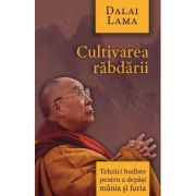 Cultivarea rabdarii. Tehnici budiste pentru a depasi mania si furia - Dalai Lama