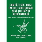 Cum sa-ti gestionezi emotiile coplesitoare si sa-ti recapeti autocontrolul - Matthew Mckay