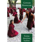 Esenta doctrinei budiste - Gonsar Rinpoche