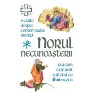 Norul Necunoasterii. O carte despre contemplatie sau cum este unit sufletul cu Dumnezeu - Gheorghe Fedorovici