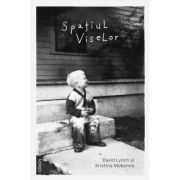 Spatiul viselor - David Lynch