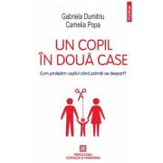 Un copil in doua case. Cum protejam copilul cand parintii se despart? - Gabriela Dumitriu, Camelia Popa