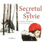 Secretul lui Sylvie - Andrea Debbink