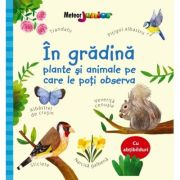 In gradina - plante si animale pe care le poti observa - Kate Nolan