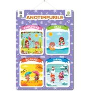 Poster Anotimpuri