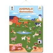 Poster Animale domestice