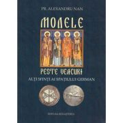 Modele peste veacuri. Alti sfinti ai spatiului german - Pr. Alexandru Nan