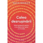 Calea dezrusinarii. Ghid terapeutic pentru a te elibera de rusine si vinovatie - David Bedrick