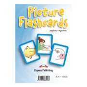 Curs limba engleza Set Sail 3. Picture flashcards - Jenny Dooley, Virginia Evans