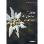 Tulpini de ganduri visatoare - Corina Stricescu