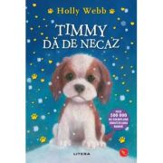 Timmy da de necaz - Holly Webb