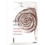 Asteptam cuminti teroarea - Ion Agaci