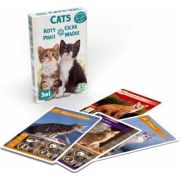 Set 3 jocuri cu carti intr-un singur pachet - Tema Pisici