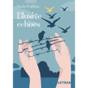 Elusive echoes - Daria Fratiloiu