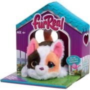 Jucarie de plus interactiva, Furreal, My Minis, Pisica