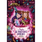 Sofia si pantofii magici 3. Aripile fermecate - Usch Luhn