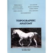 Topographic anatomy - Cristian Belu
