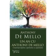 Un an cu Anthony De Mello