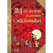 24 de povesti in asteptarea Craciunului - Anne Lanoe