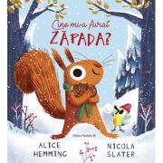 Cine mi-a furat zapada? - Alice Hemming, Nicola Slater