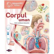 Raspundel Istetel, Carte interactiva Corpul uman