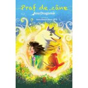 Praf de zane - Ana Dragomir