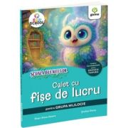 Scoala bufnitelor. Caiet de fise de lucru grupa mijlocie 4-5 ani - Alina Ileana Deac