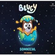 Bluey. Somnicul