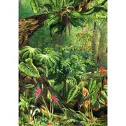 Puzzle 1000 piese + saculet, Jungla, Kiub