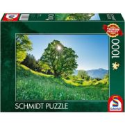 Puzzle 1000 piese, Pajistea, St. Gallen, Elvetia, Schmidt